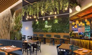 Ambiente acogedor con iluminación de restaurantes, plantas colgantes y detalles rústicos.