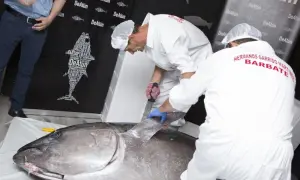 Profesionales realizan el ronqueo de un atún gigante, mostrando su destreza en el corte.