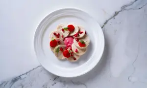 Un delicado plato estrella michelin: finas lonchas de pollo con salsa rosa, granada y hojas verdes, presentado en un plato blanco sobre mármol.