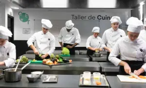 Estudiantes de un grado en ciencias gastronómicas practican cortes de verduras en un taller de cocina.