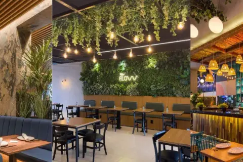 Ambiente acogedor con iluminación de restaurantes, plantas colgantes y detalles rústicos.
