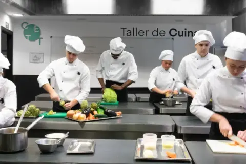 Estudiantes de un grado en ciencias gastronómicas practican cortes de verduras en un taller de cocina.