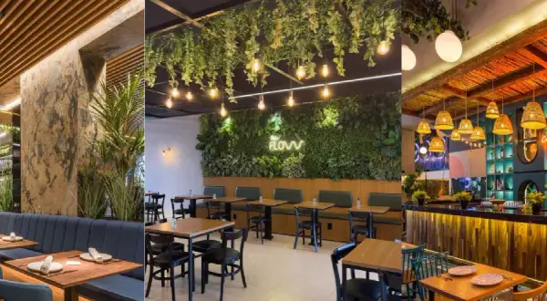 Ambiente acogedor con iluminación de restaurantes, plantas colgantes y detalles rústicos.