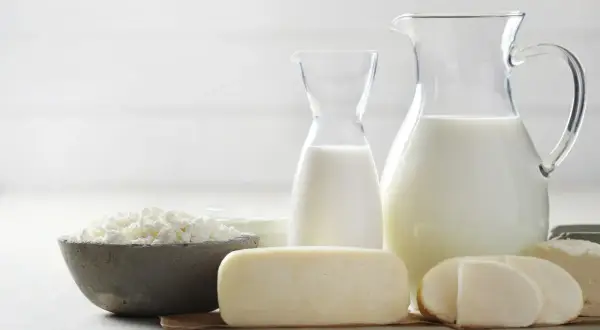 Leche y quesos frescos, listos para el proceso de pasteurización.