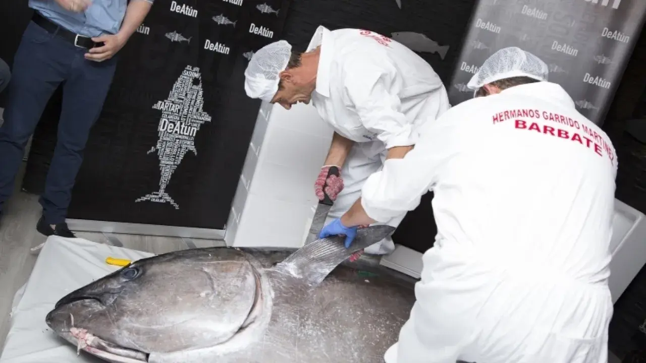 Profesionales realizan el ronqueo de un atún gigante, mostrando su destreza en el corte.