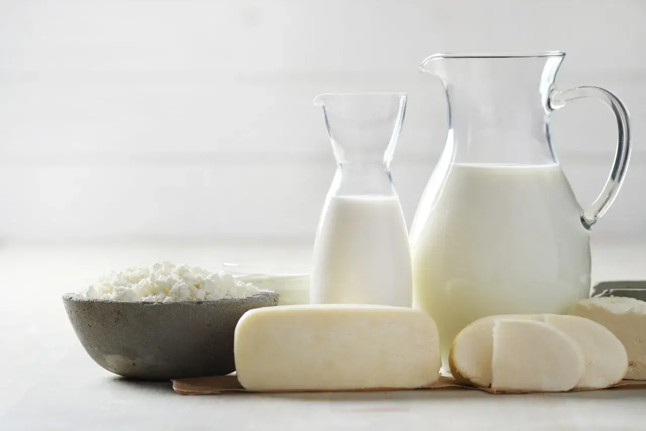 Leche y quesos frescos, listos para el proceso de pasteurización.
