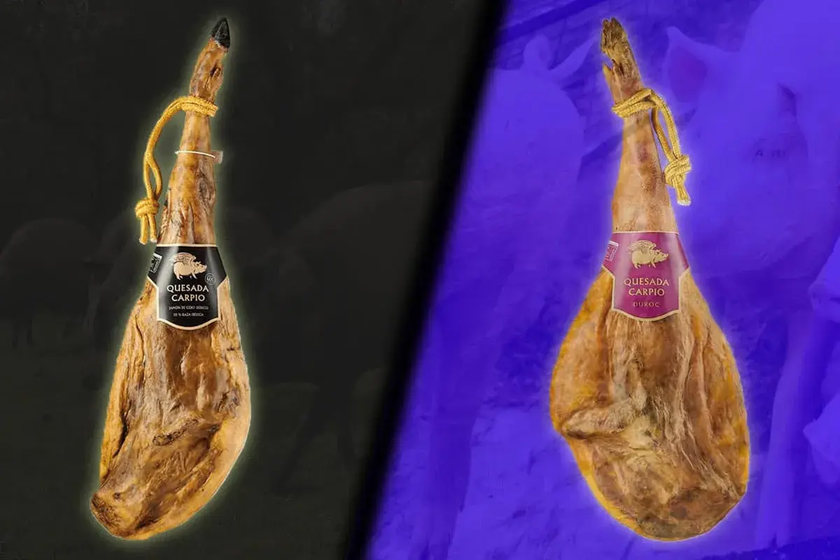 Dos jamones colgados, uno con etiqueta negra y otro con etiqueta morada, mostrando dos clases de jamón.