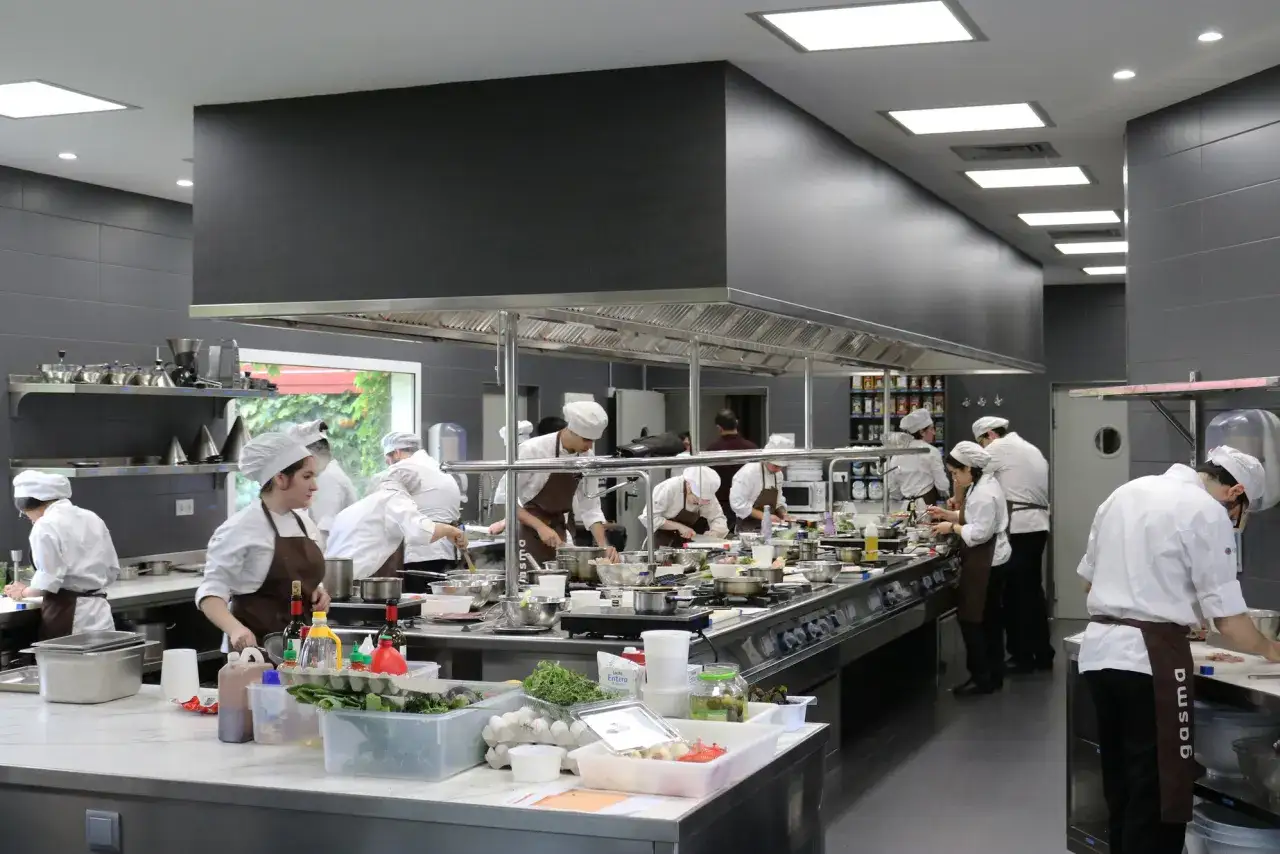Estudiantes aprenden en una cocina profesional, un ambiente ideal para las mejores escuelas de cocina en Espa&ntilde;a.