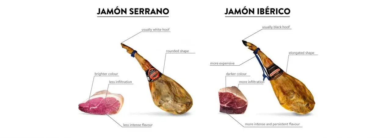 Comparativa de clases de jam&oacute;n: Serrano (m&aacute;s claro, menos infiltraci&oacute;n) e Ib&eacute;rico (m&aacute;s oscuro, m&aacute;s infiltraci&oacute;n, m&aacute;s caro).