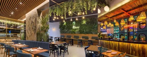 Ambiente acogedor con iluminación de restaurantes, plantas colgantes y detalles rústicos.