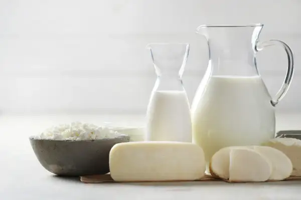 Leche y quesos frescos, listos para el proceso de pasteurización.